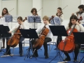 saggio-natale-diamante-241