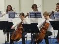 saggio-natale-diamante-245